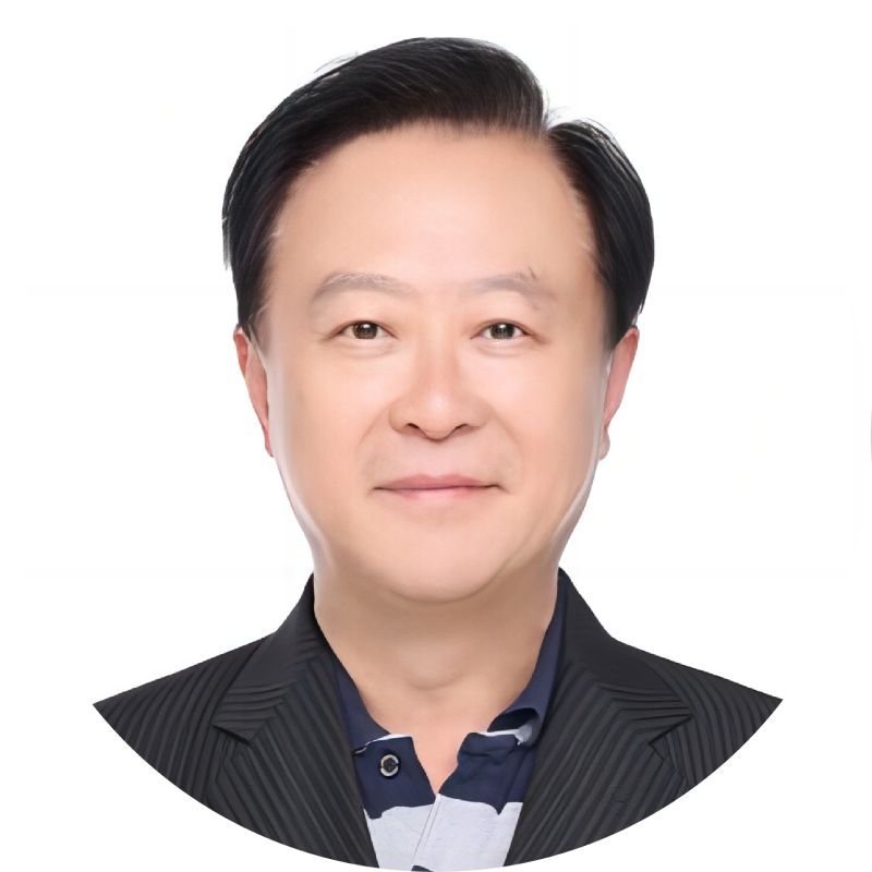 Prof. CHEN Yong